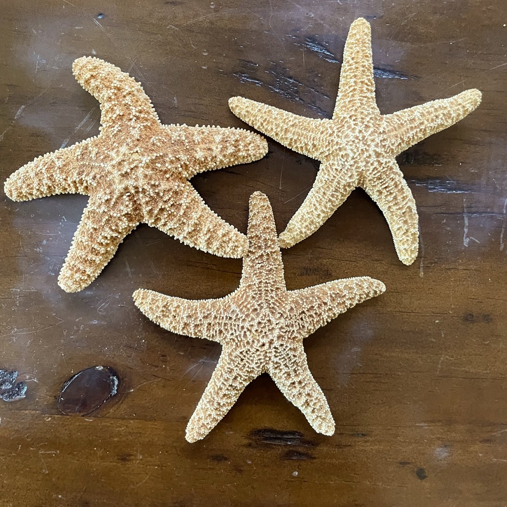 Starfish decor